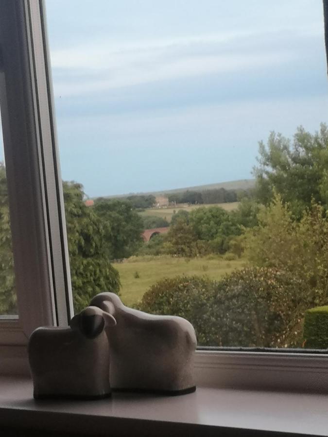 Greystones Guesthouse 惠特比 外观 照片
